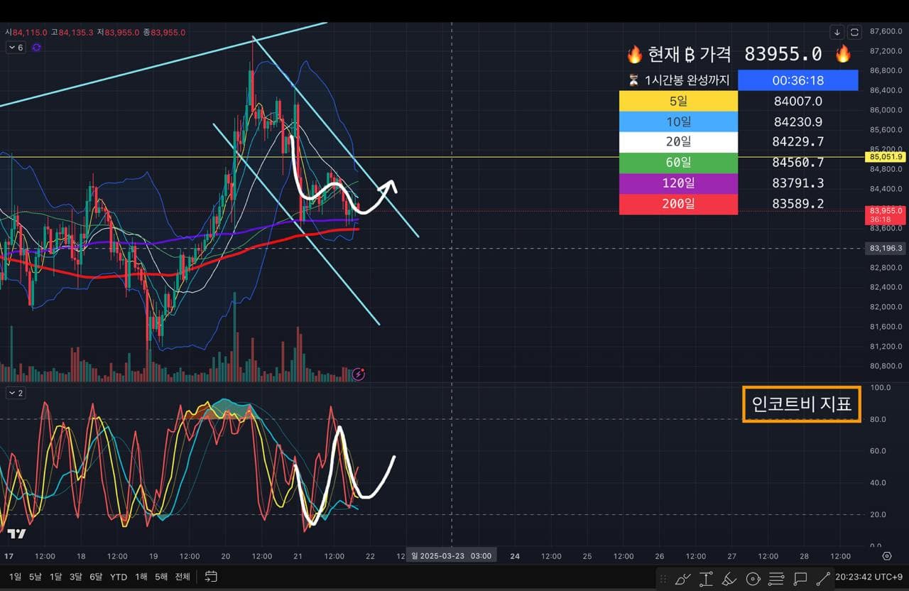 오늘의 시장 관점